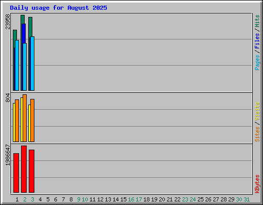 Daily usage for August 2025