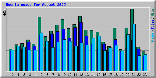 Hourly usage for August 2025